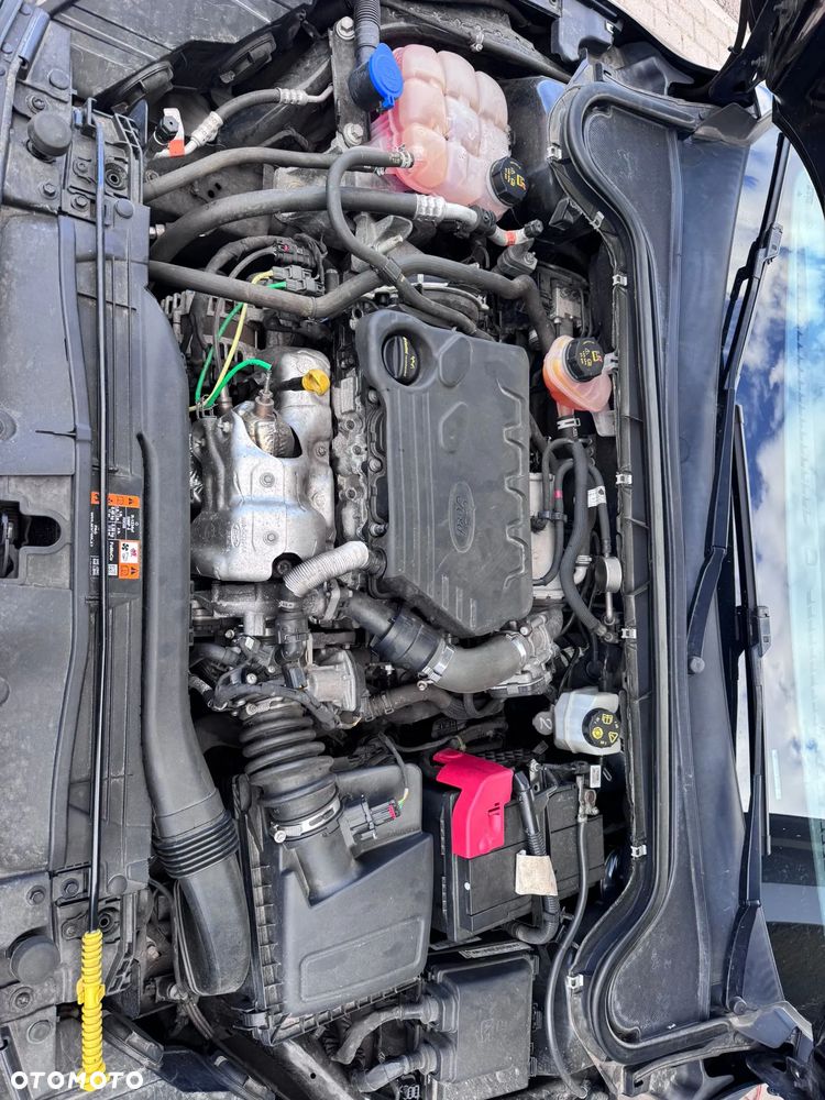 Ford Focus 1.5 EcoBlue STart-Stopp-System TITANIUM - 13