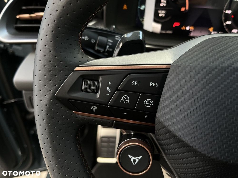 Cupra Terramar 2.0 TSI 4Drive DSG - 33