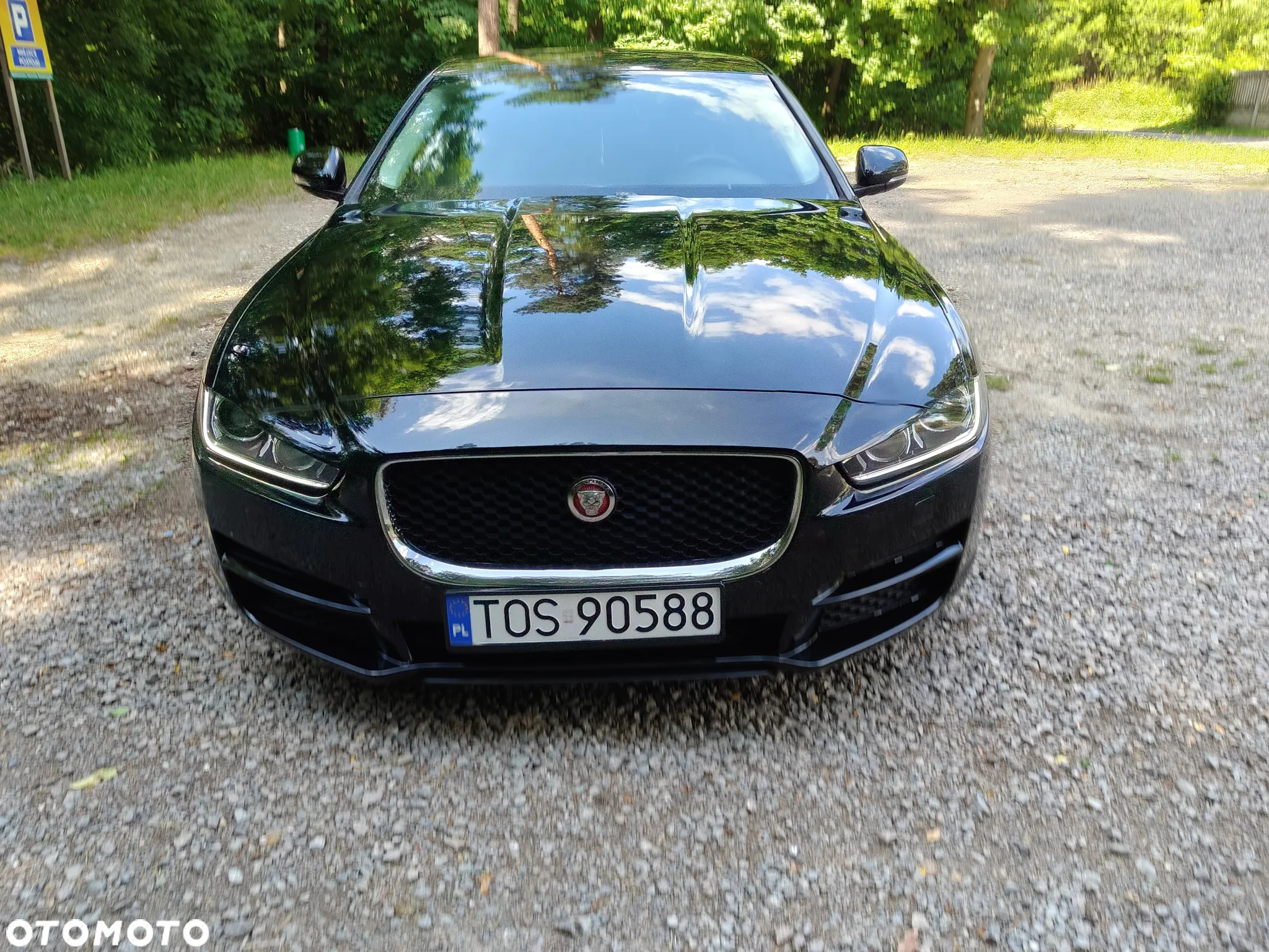 Jaguar XE 2.0 D AWD Portfolio - 30