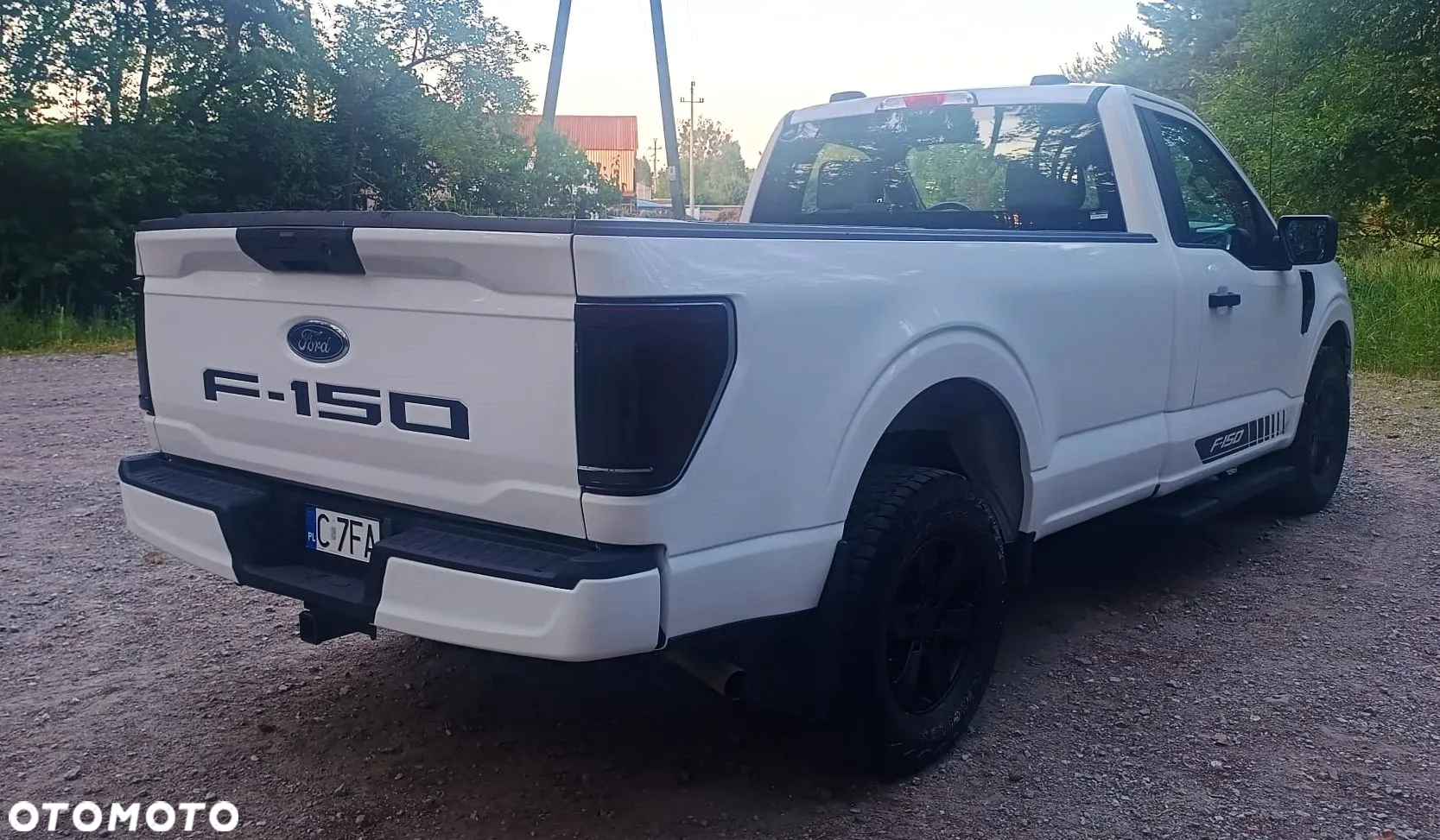 Ford F150 - 6