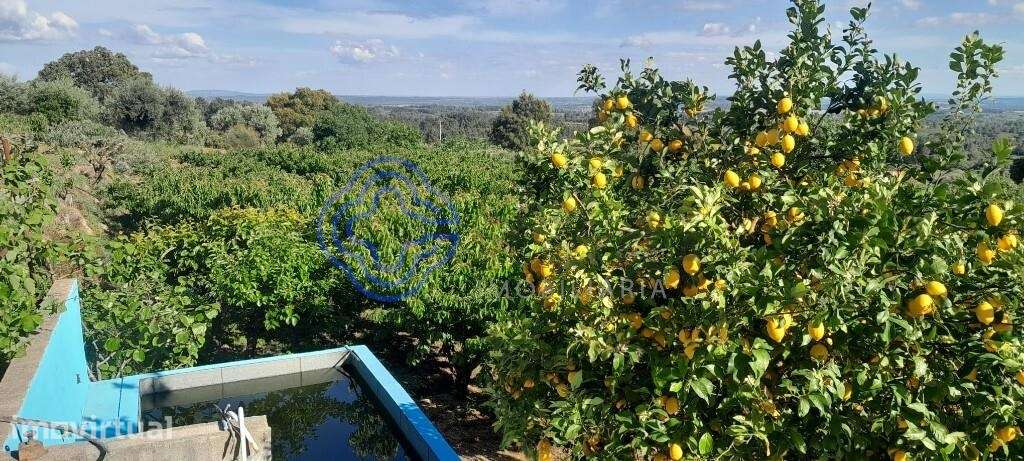Refúgio Rural com Vista para a Serra - Grande imagem: 5/17