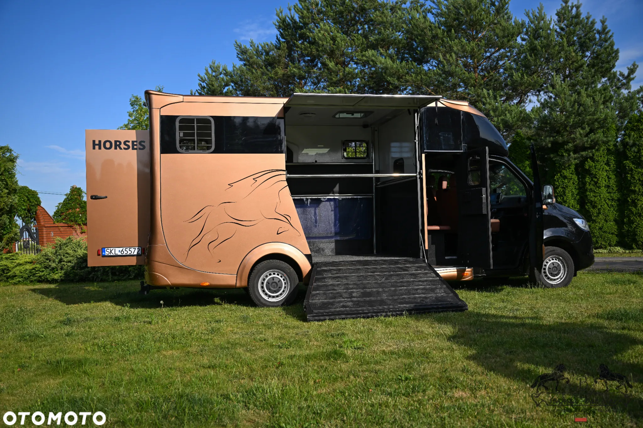 Mercedes-Benz Sprinter Koniowóz - 7
