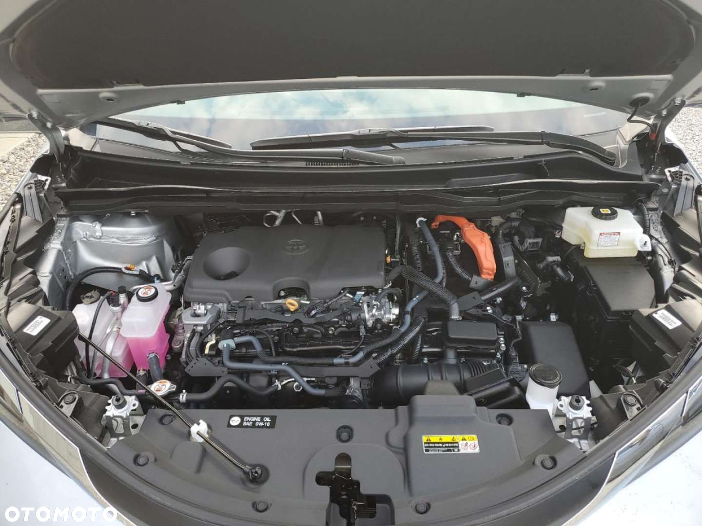 Toyota Sienna - 7