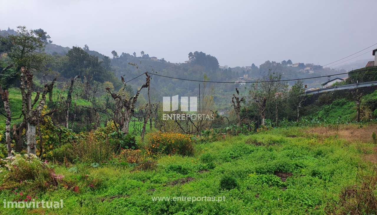 Venda de Terreno com 20500m2, Soalhães, Marco de Canaveses - Grande imagem: 2/30