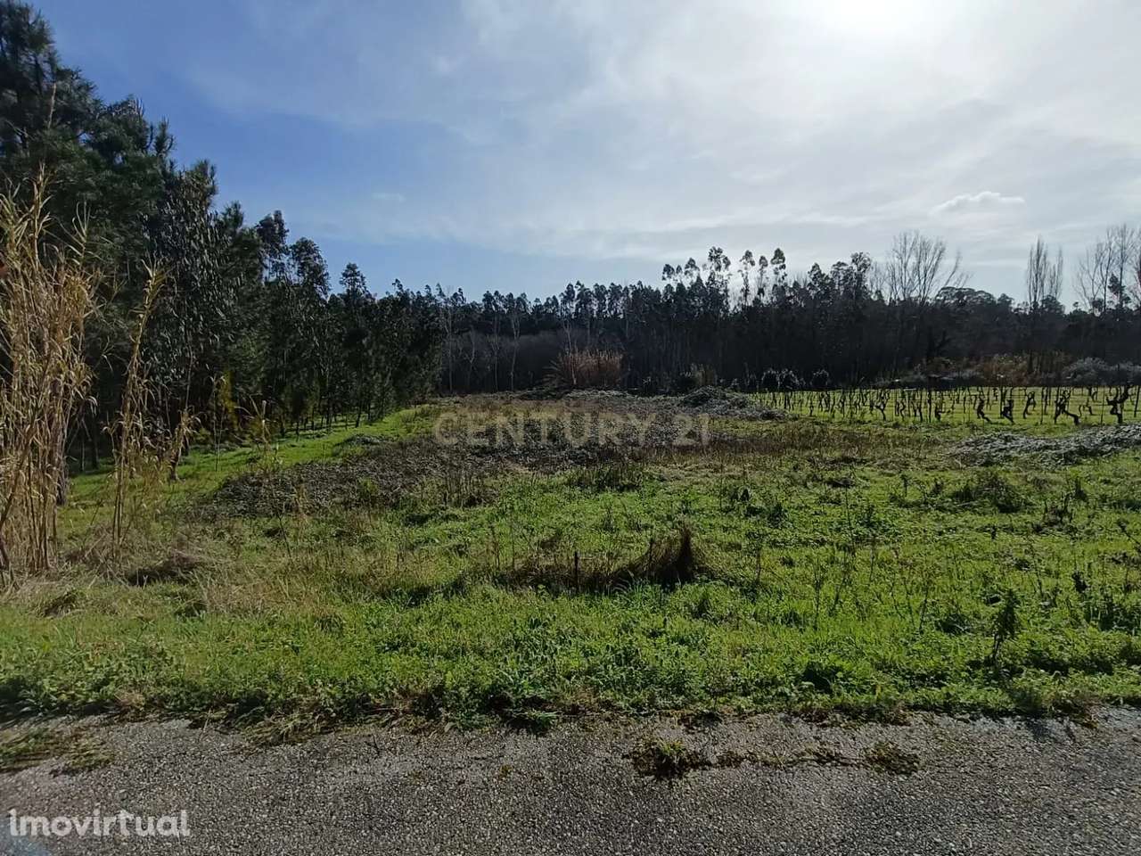 Terreno à Venda - 1900m² - Grande imagem: 2/5