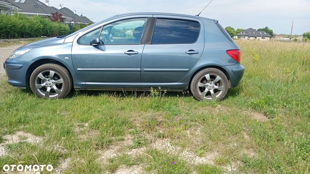 Peugeot 307 1.6 Sporty (kla) - 5