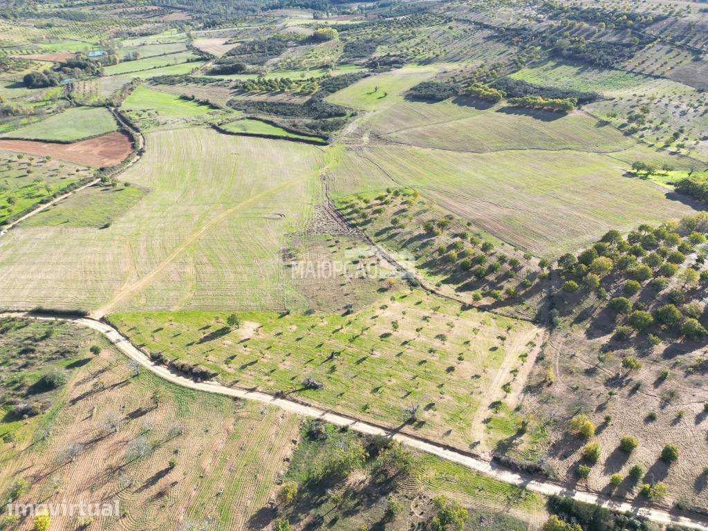 Propriedade Agrícola Parada - Bragança - Grande imagem: 2/9