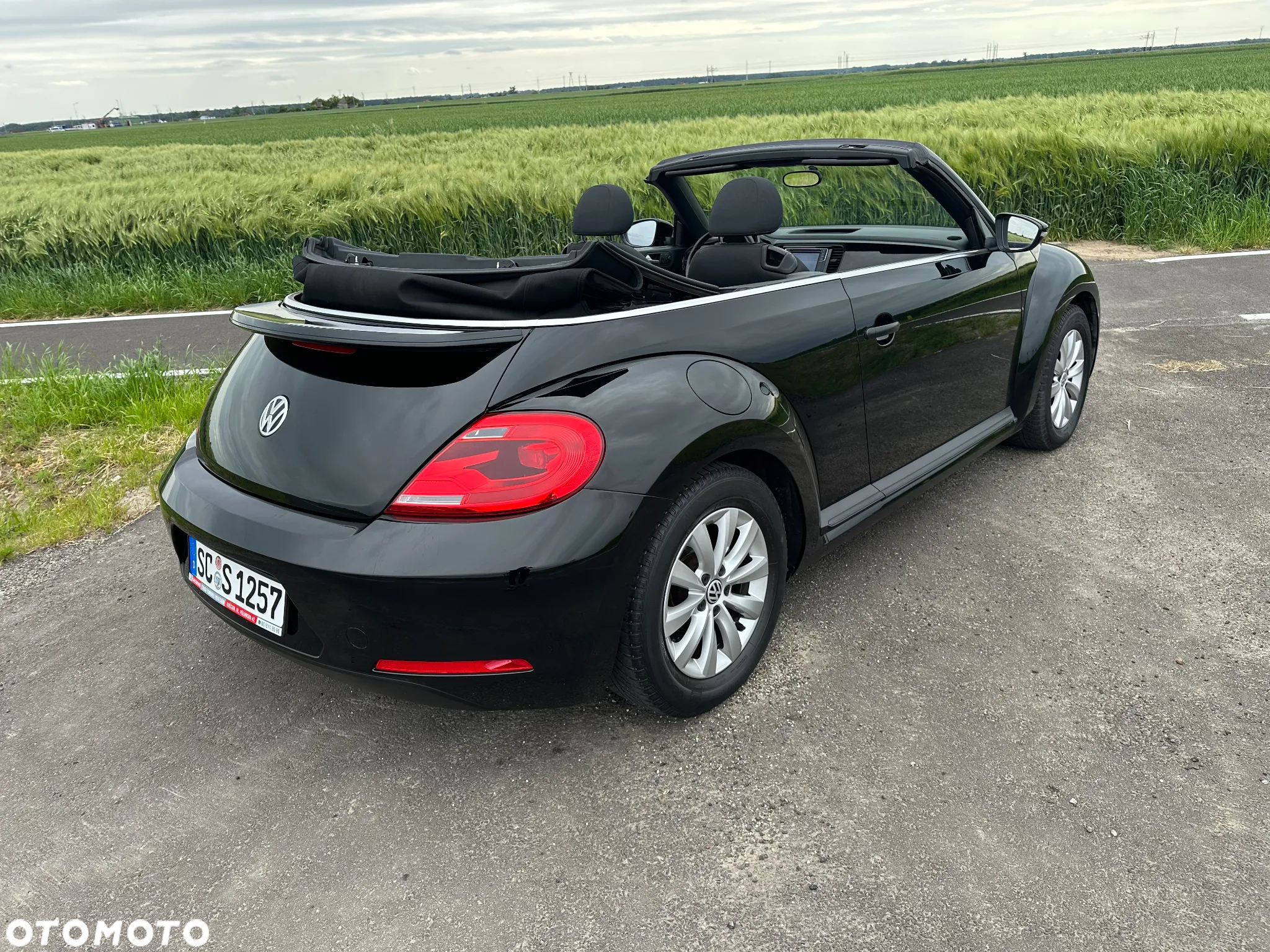 Volkswagen Beetle - 10