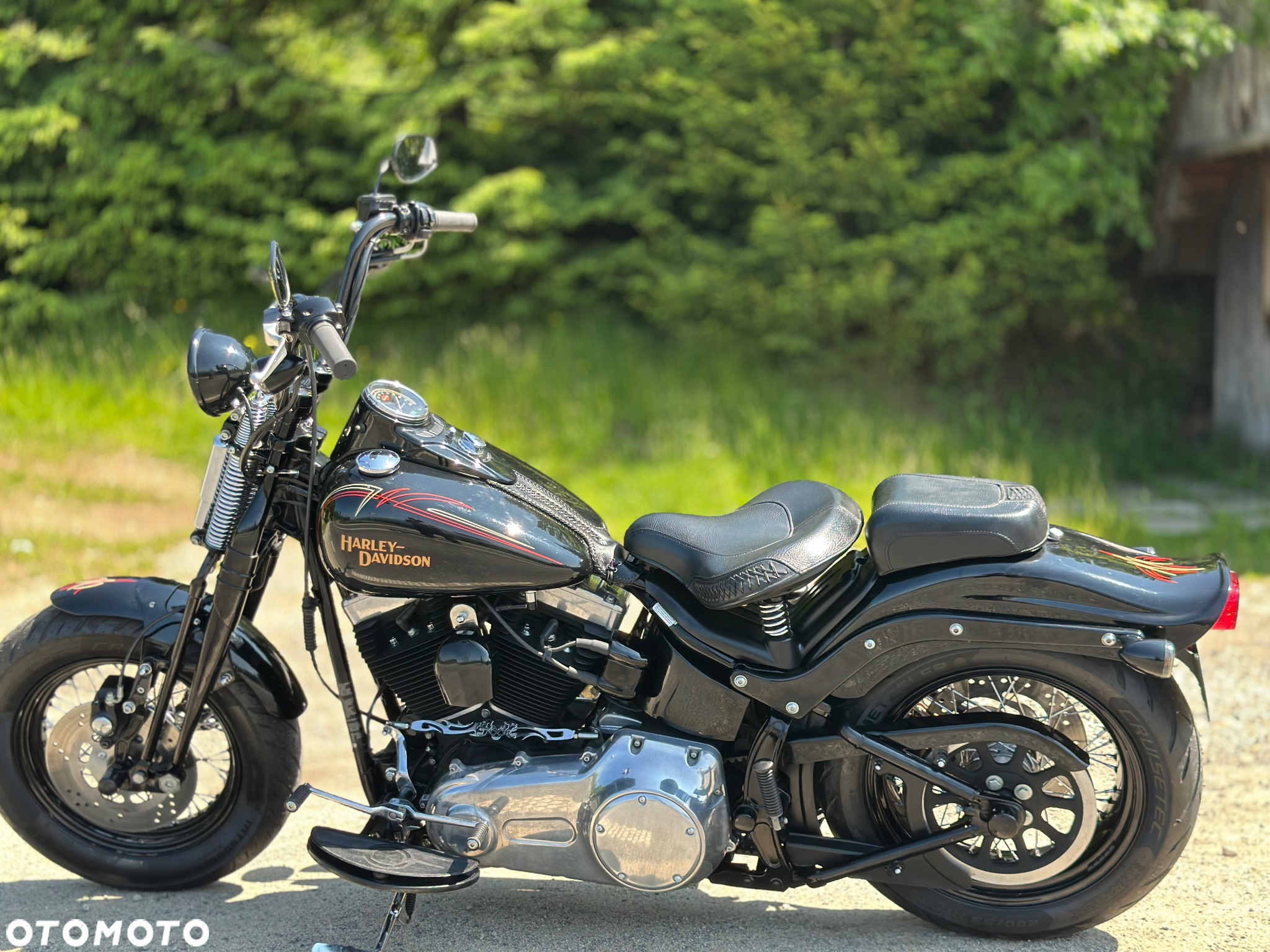 Harley-Davidson Softail Cross Bones - 11