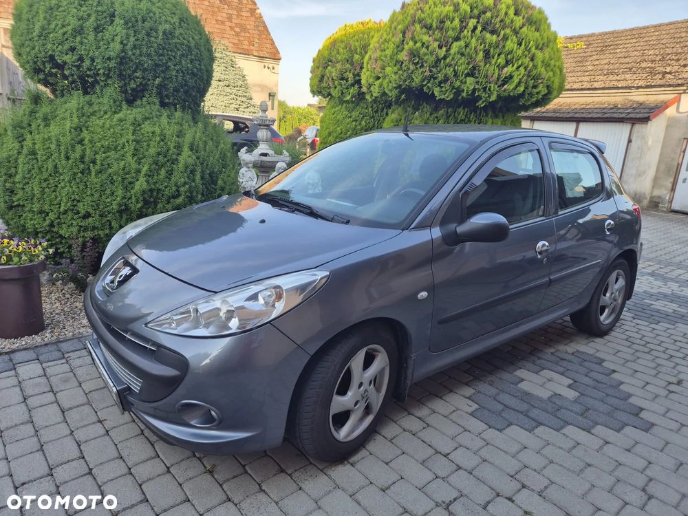 Peugeot 206 plus - 17