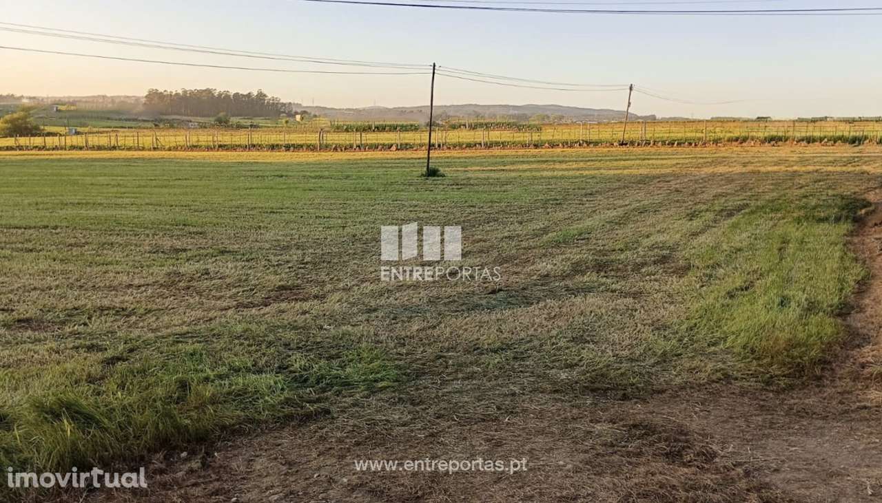 Venda de Terreno com 2600 m2, Arcos, Vila do Conde - Grande imagem: 5/11