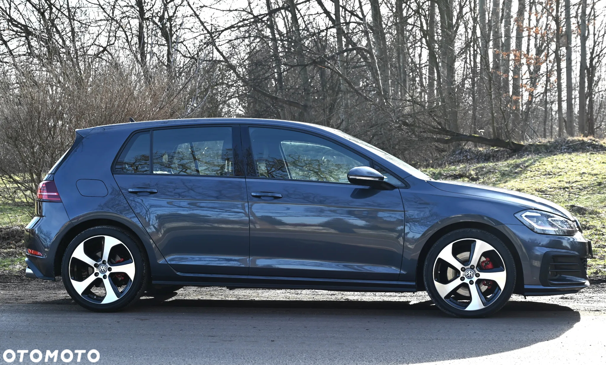Volkswagen Golf - 28