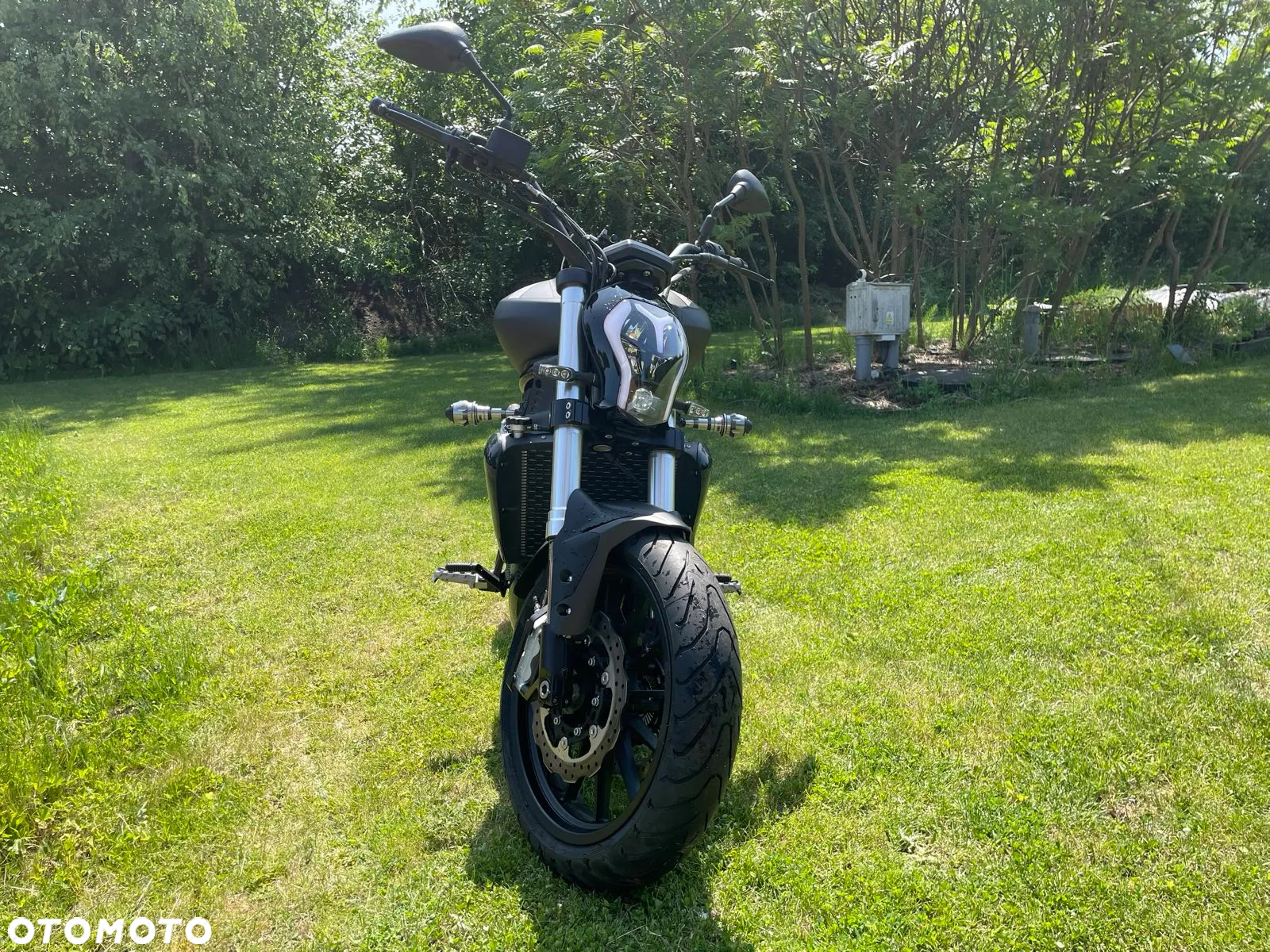 Benelli 502 C - 10