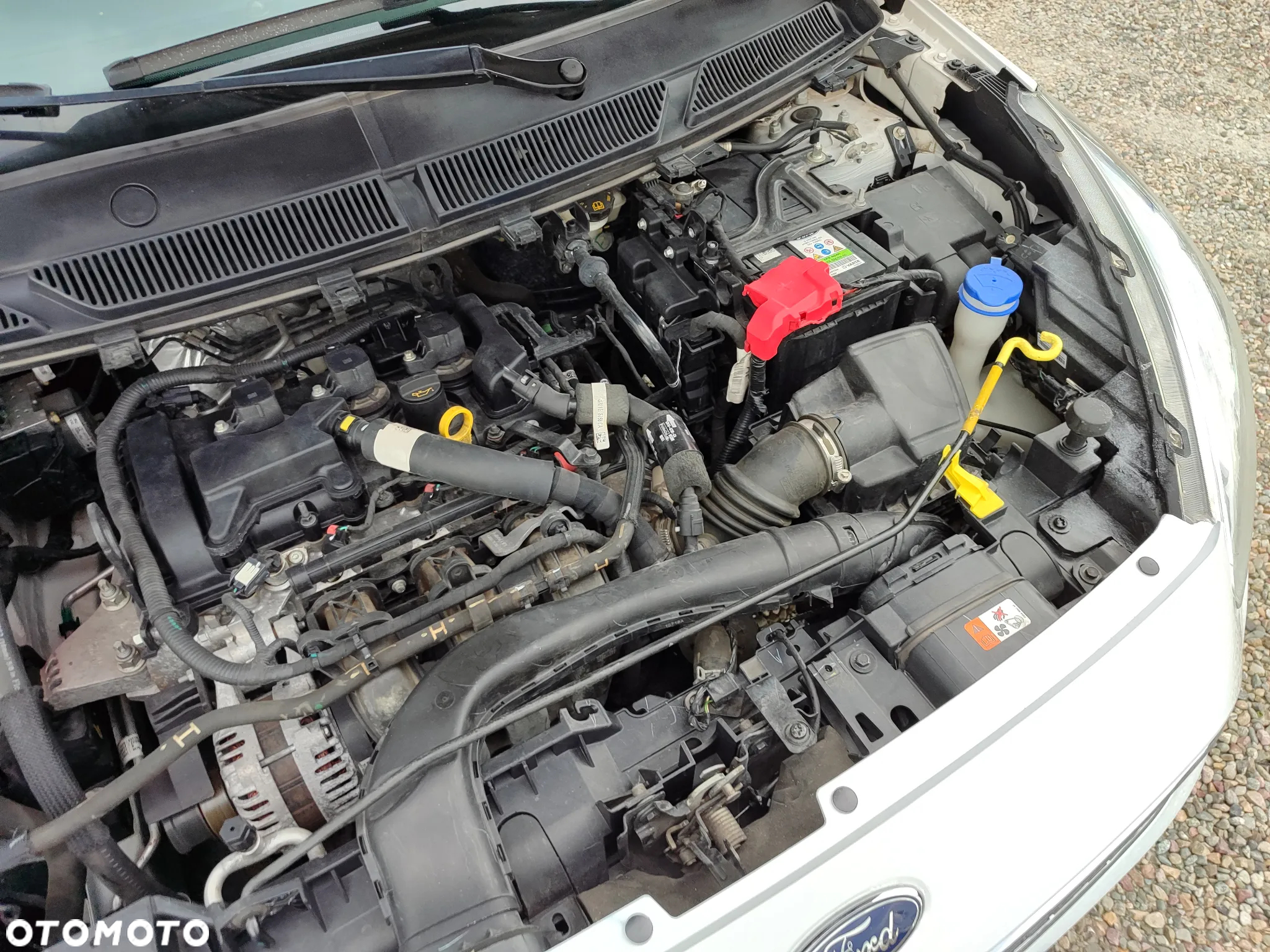 Ford Ka+ 1.2 Ti-VCT White Edition - 30