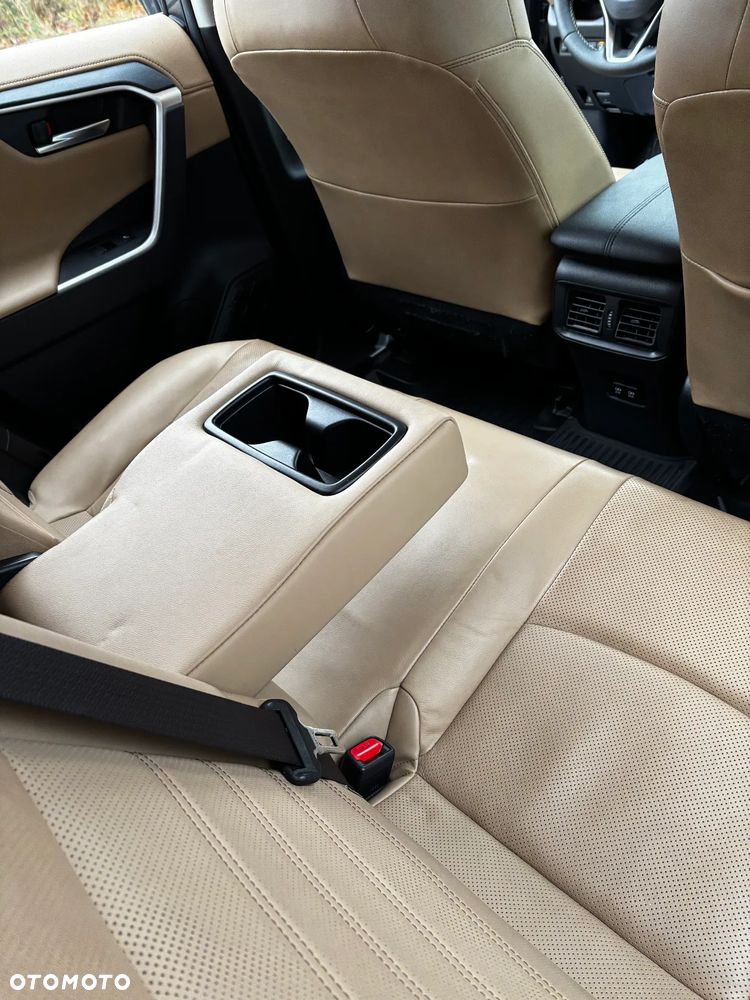 Toyota RAV4 2.5 Hybrid Executive 4x2 - 22