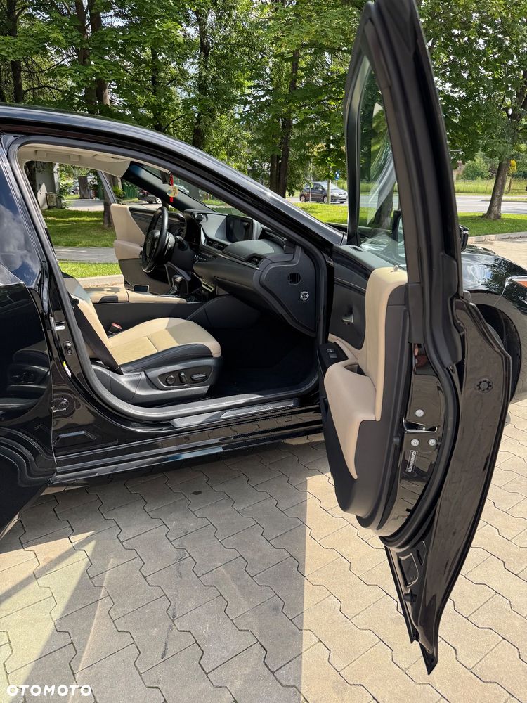 Lexus ES 300h Business Edition + - 23