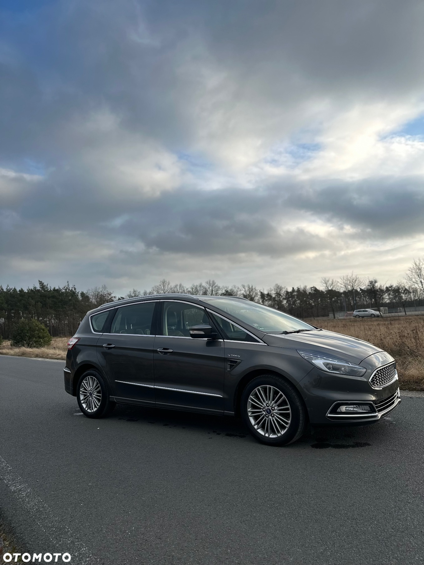Ford S-Max 2.0 EcoBlue Vignale - 7