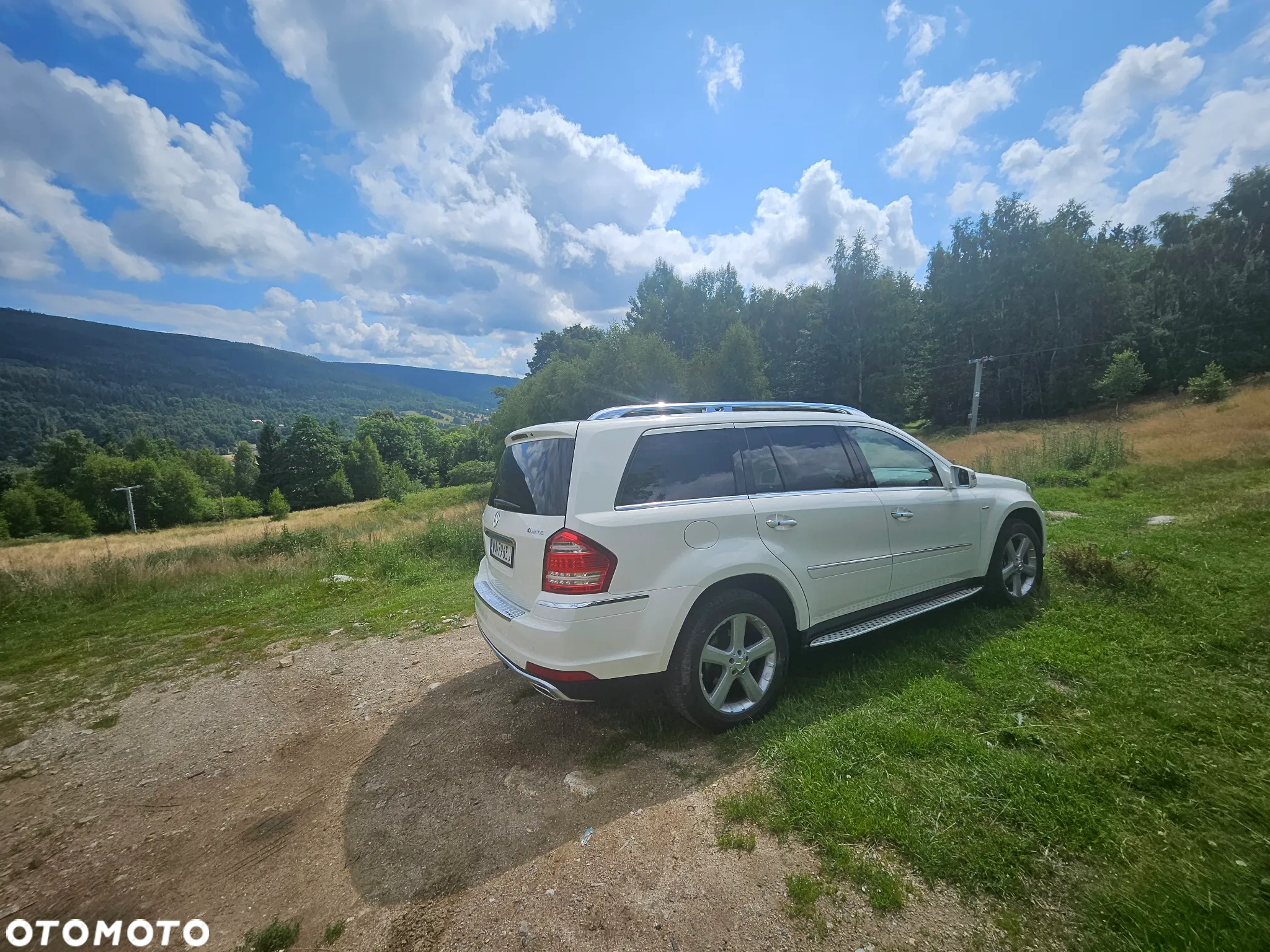 Mercedes-Benz GL 350 BlueTEC 4Matic 7G-TRONIC - 2