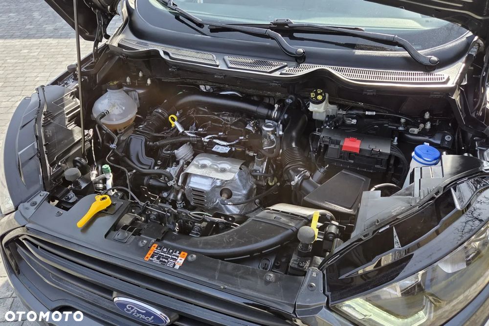 Ford EcoSport 1.0 EcoBoost ST-Line ASS - 22