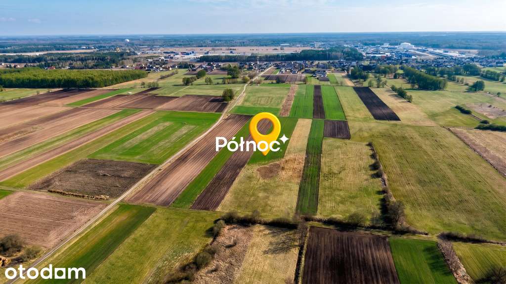 Łąka 8000m2 w  Małaszewiczach Dużych - Pełny obrazek: 4/6