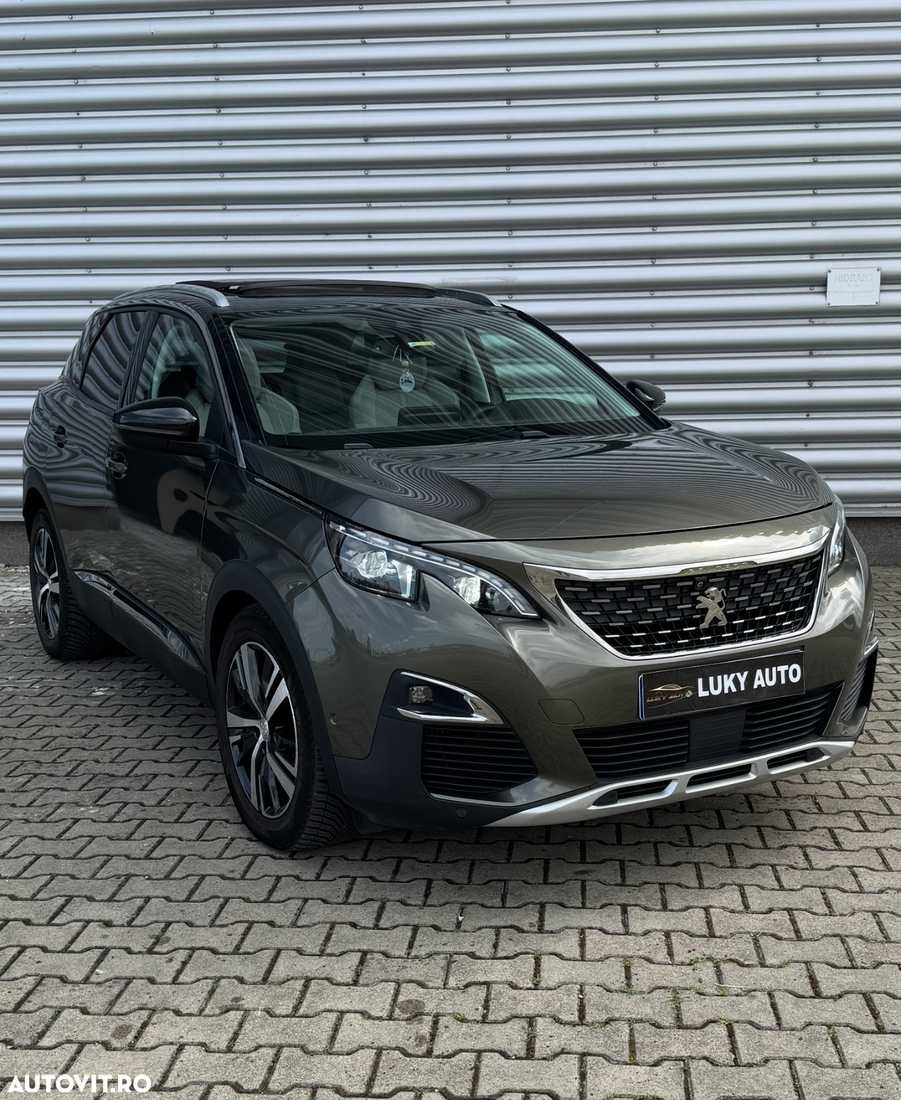 Peugeot 3008 - 18