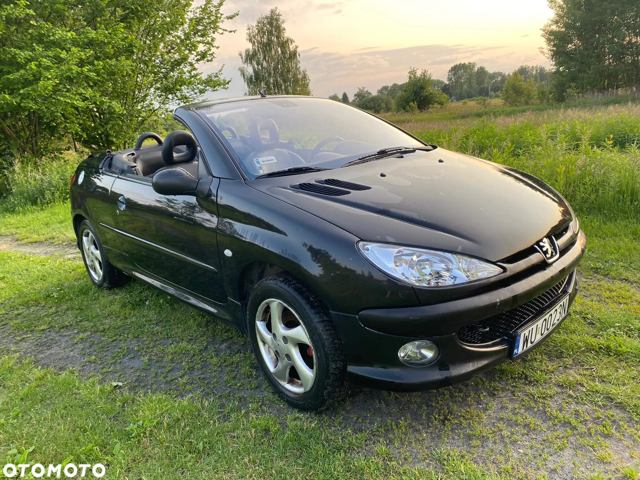 Peugeot 206 CC - 4