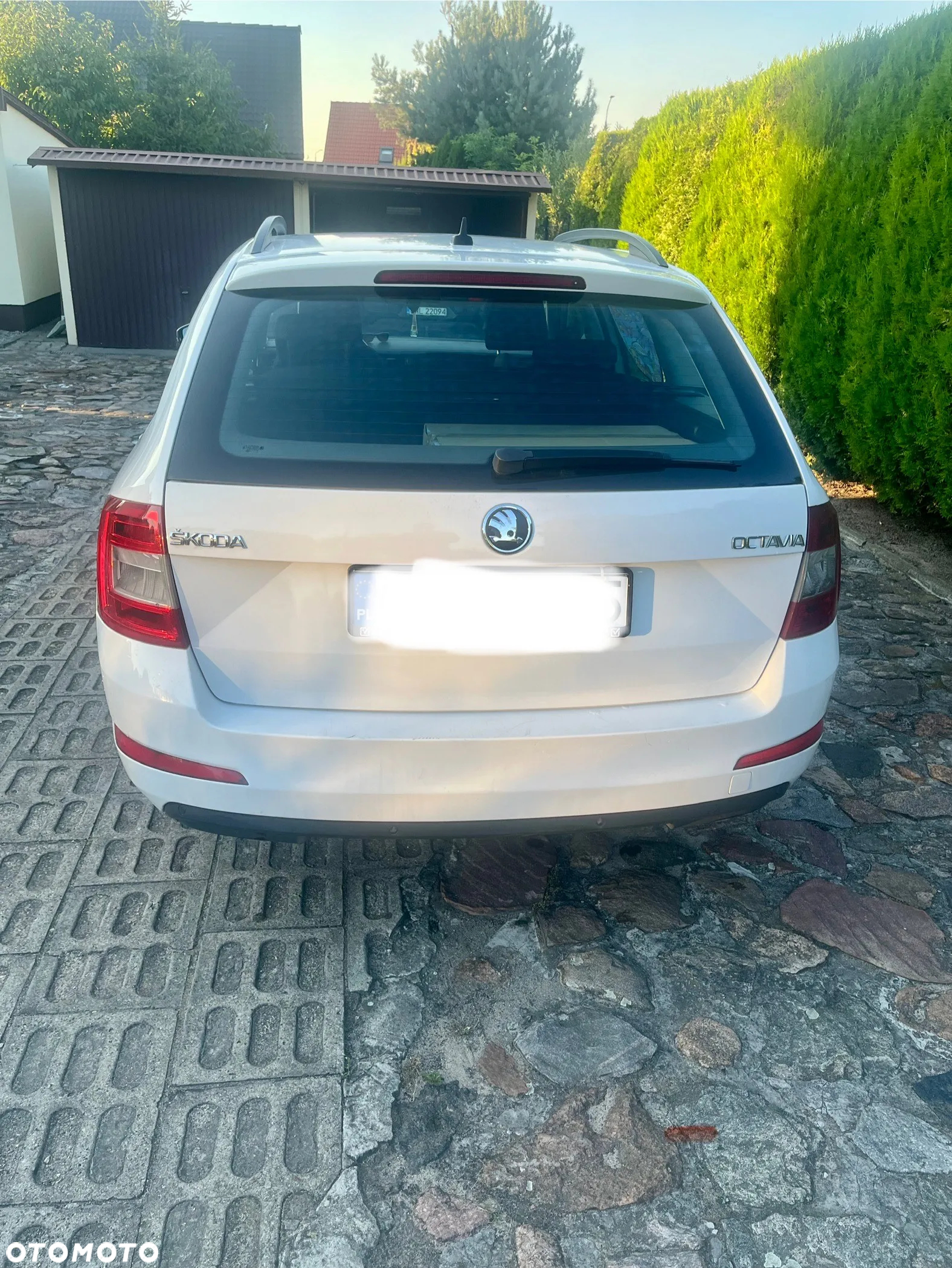Skoda Octavia 1.6 TDI Edition - 3