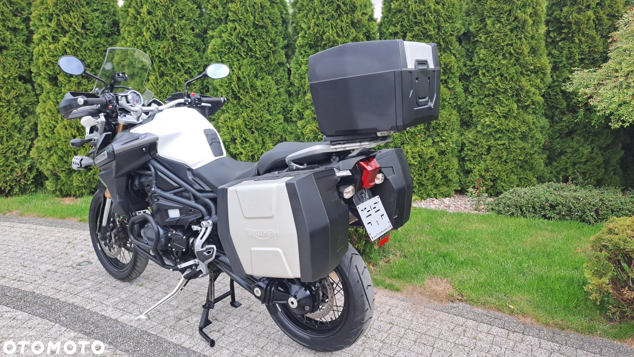 Triumph Tiger - 6