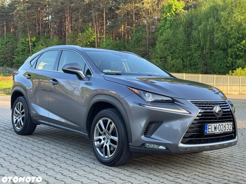 Lexus NX 300h Elegance + Business AWD - 4