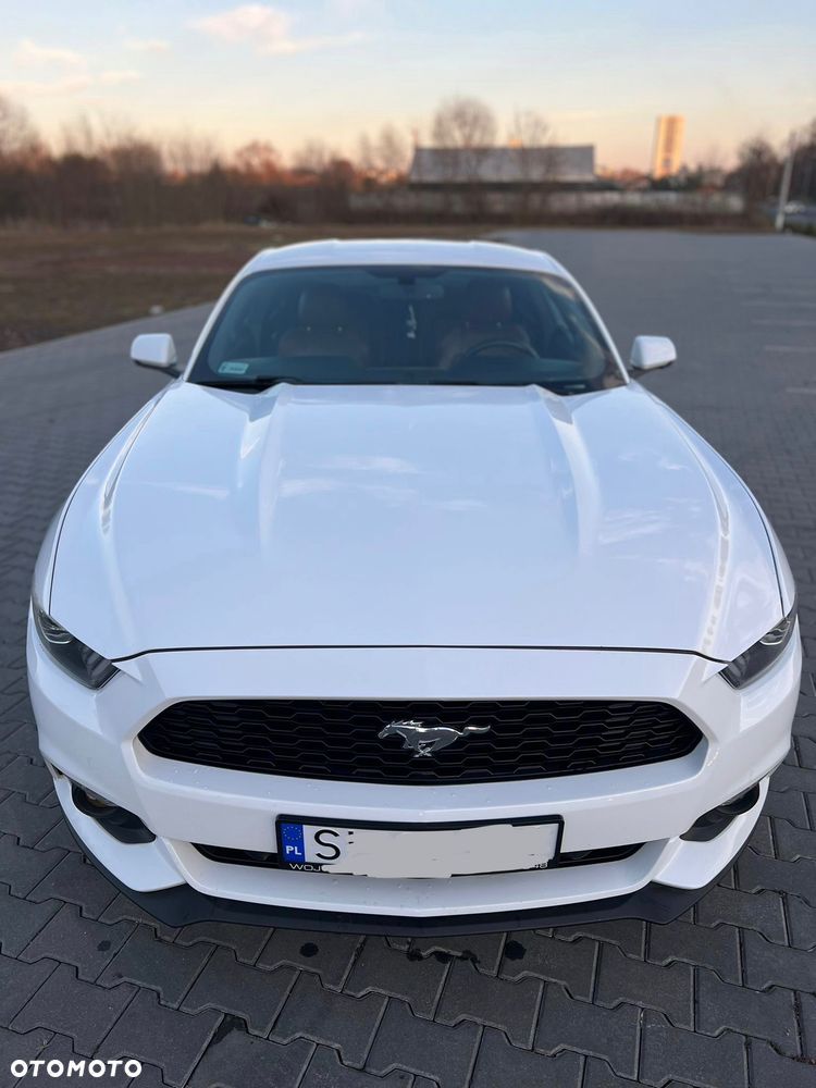 Ford Mustang 2.3 EcoBoost - 13
