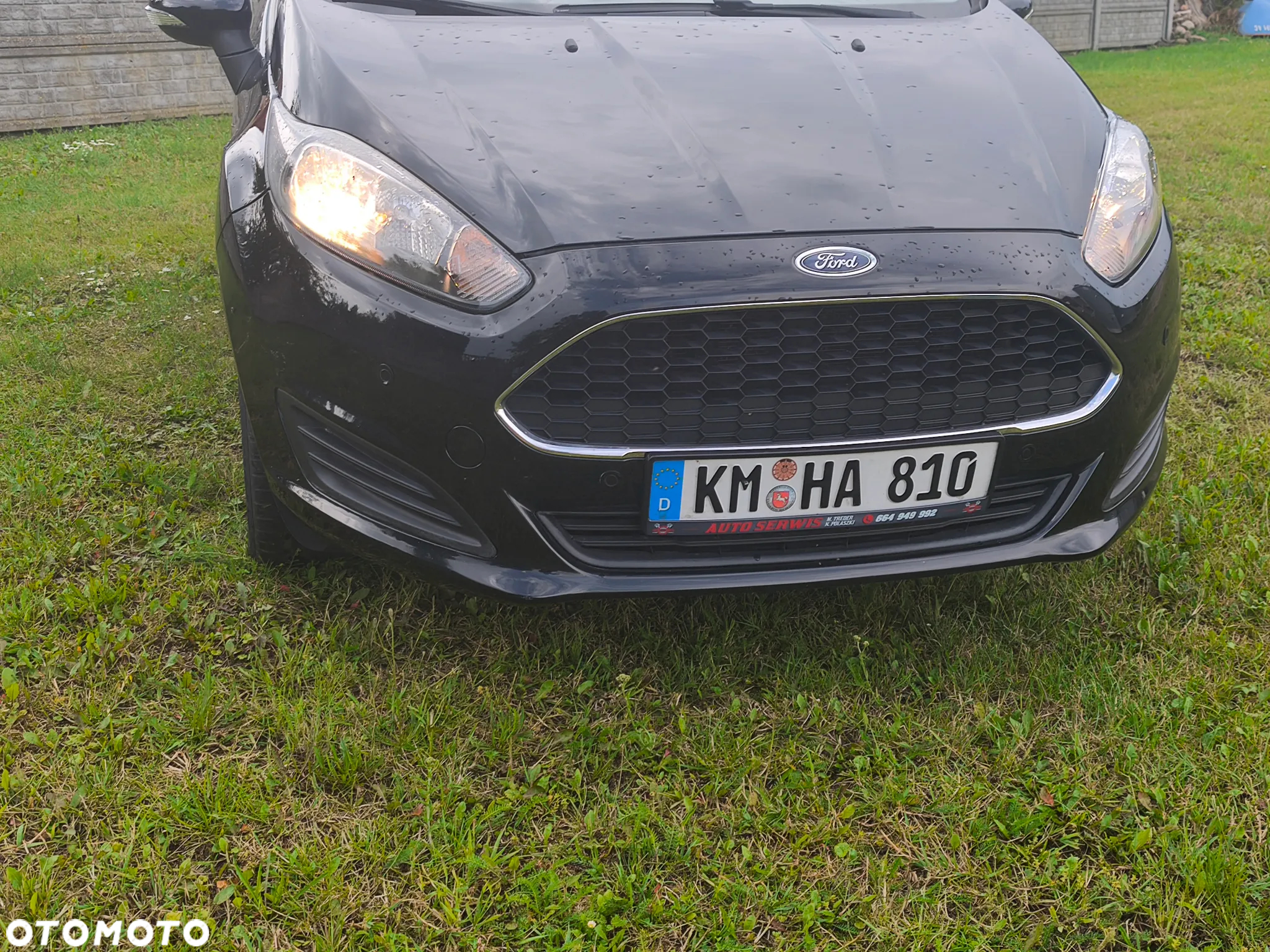 Ford Fiesta - 15
