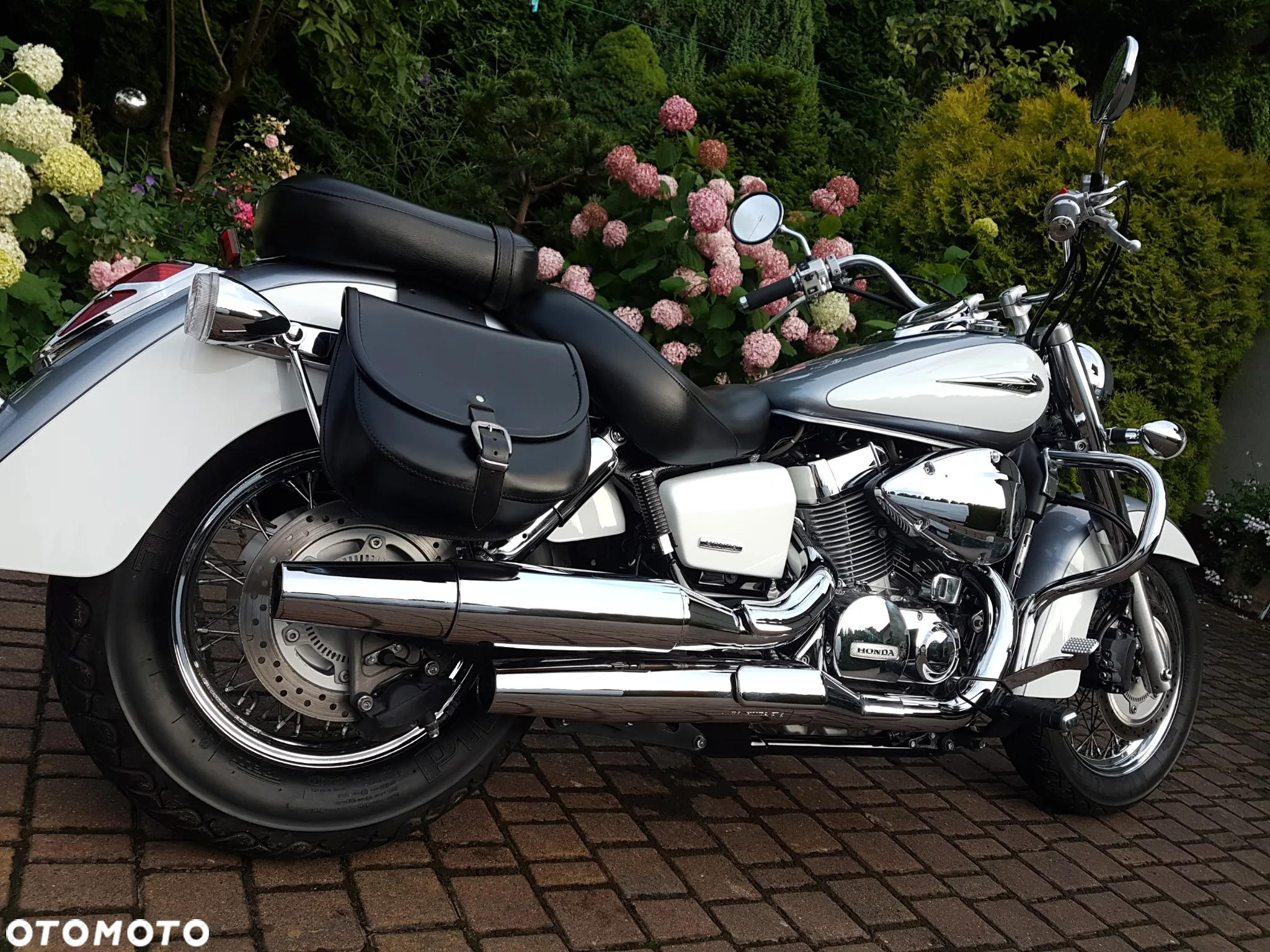 Honda Shadow - 14