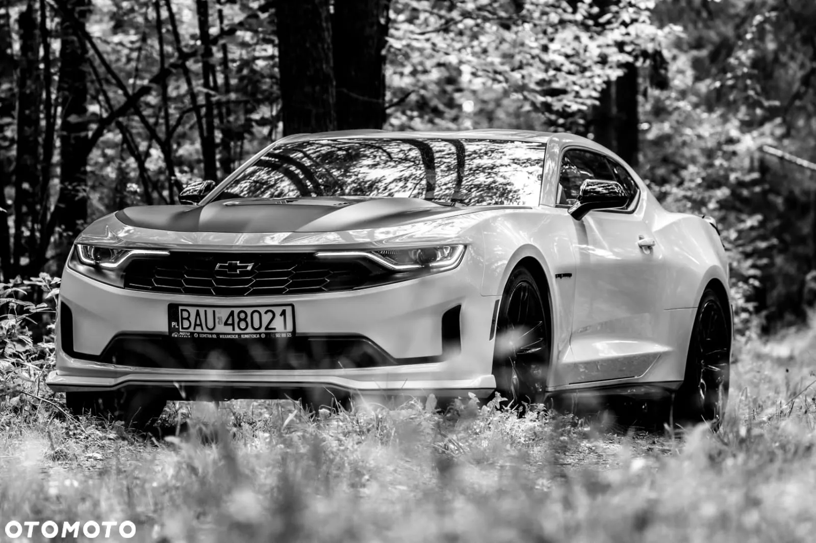 Chevrolet Camaro - 22