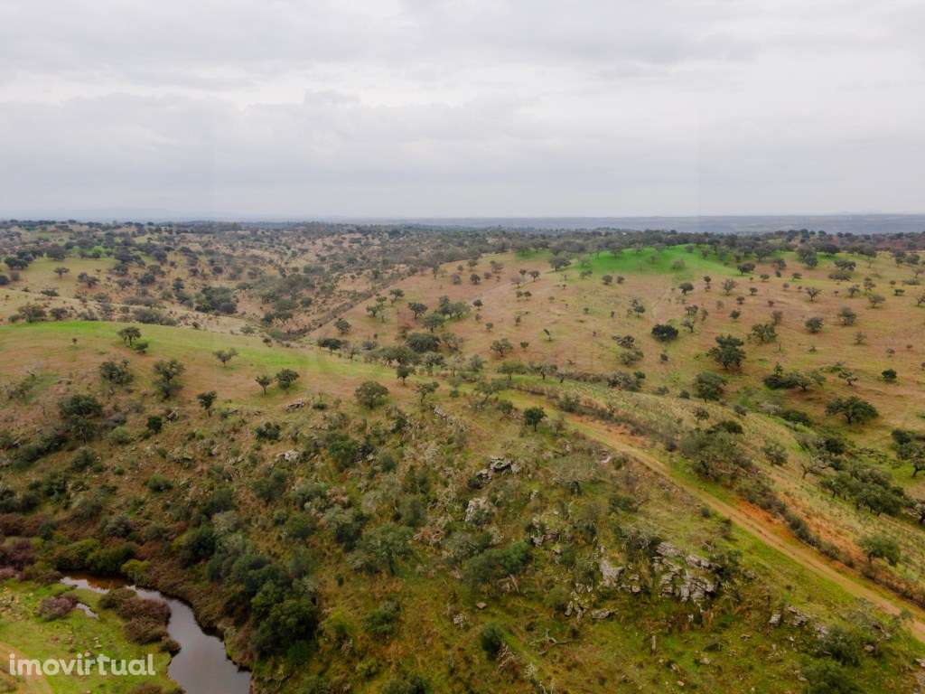 Herdade com setenta e dois hectares em Vila Nova de são Bento - Grande imagem: 5/47