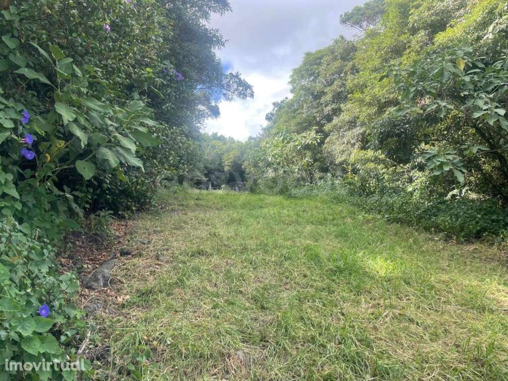 Terreno Rústico com 484 m² - Porto Martins, Terceira - Grande imagem: 2/20