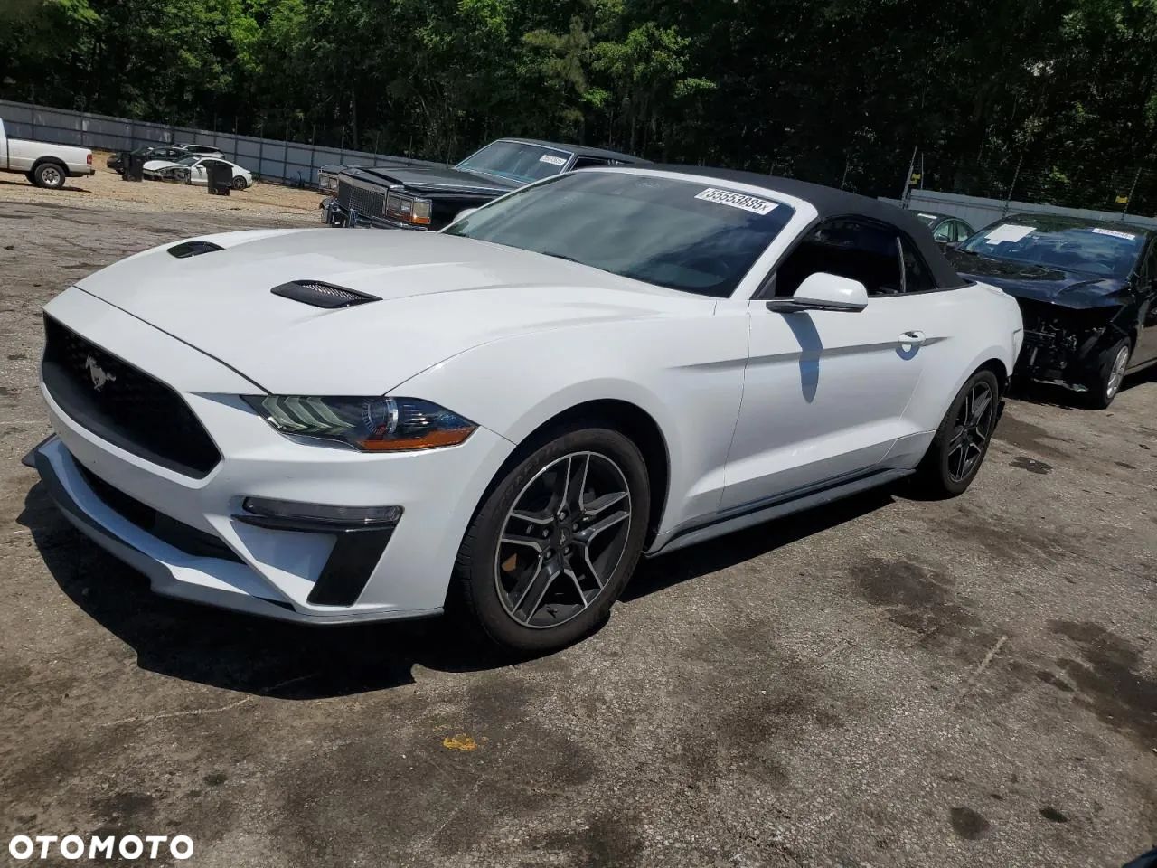 Ford Mustang 2.3 EcoBoost - 1