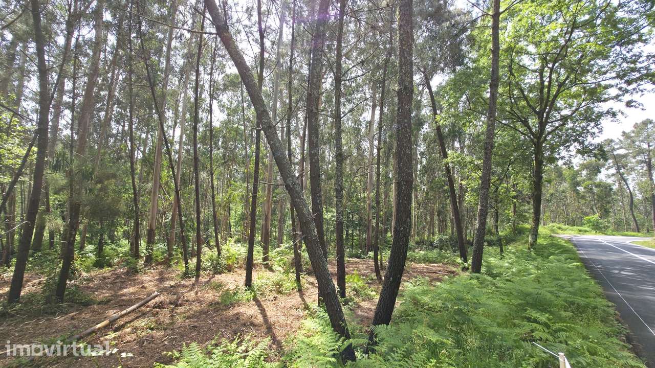 Terreno p/ construção Fervença Celorico de Basto - Grande imagem: 5/8