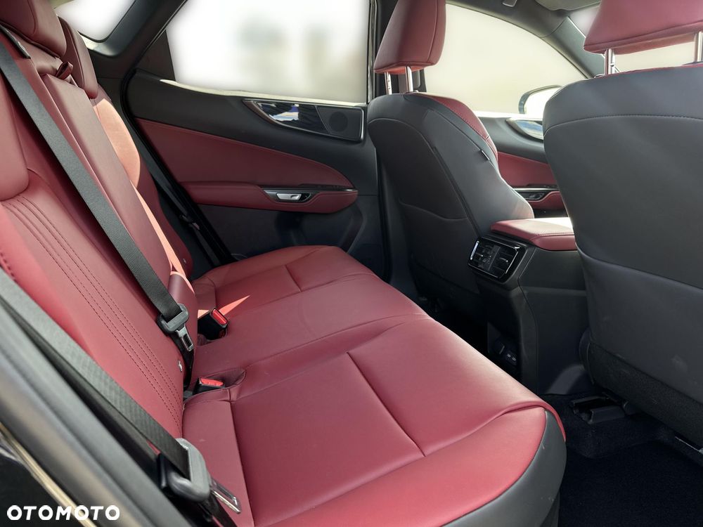 Lexus NX - 13