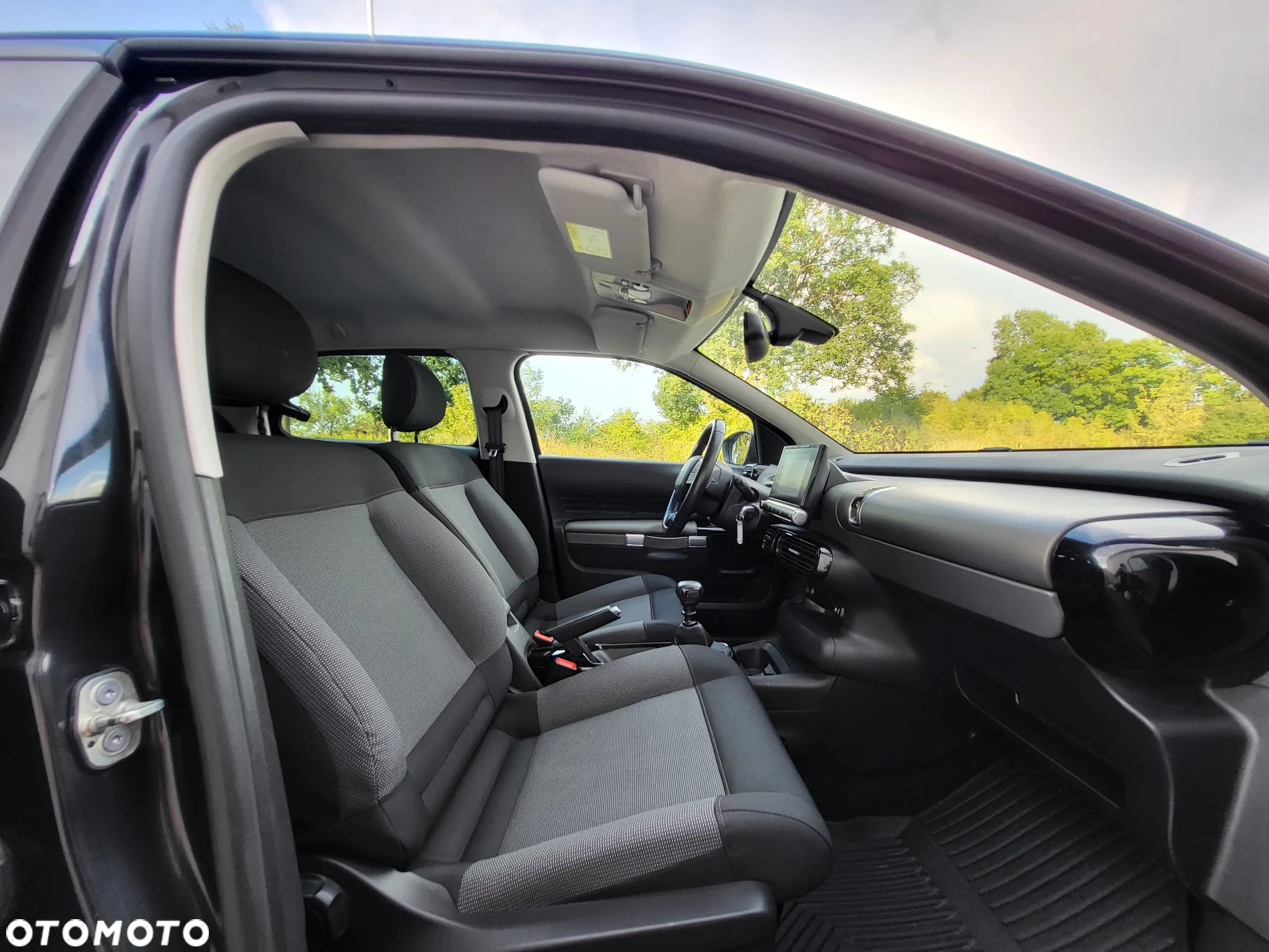 Citroën C4 Cactus - 20