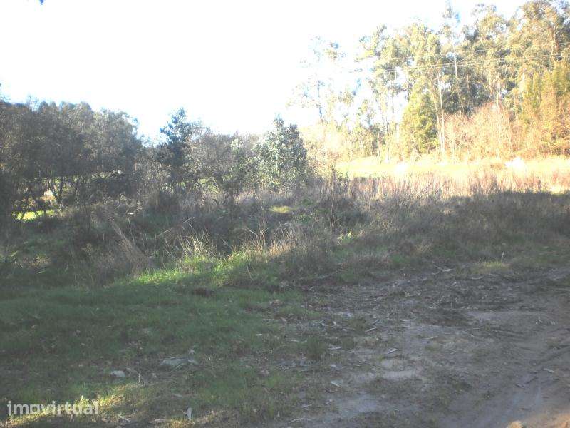 Terreno para construção de 23.000€ em Gião - Vila do Conde - Grande imagem: 3/7