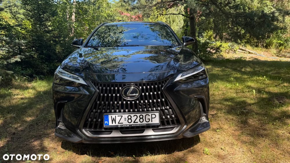 Lexus NX 350h Prestige AWD - 1