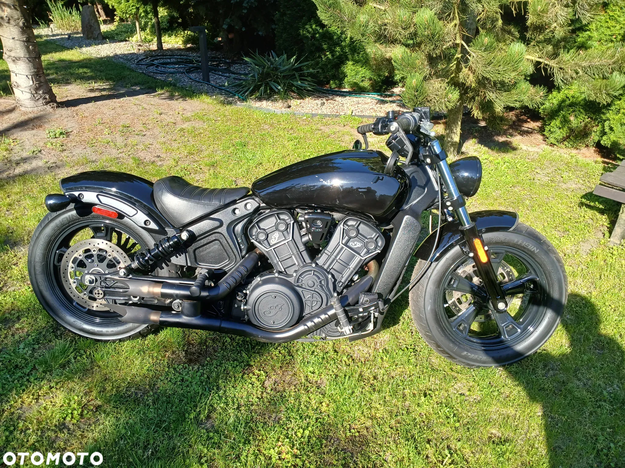 Indian Scout - 23