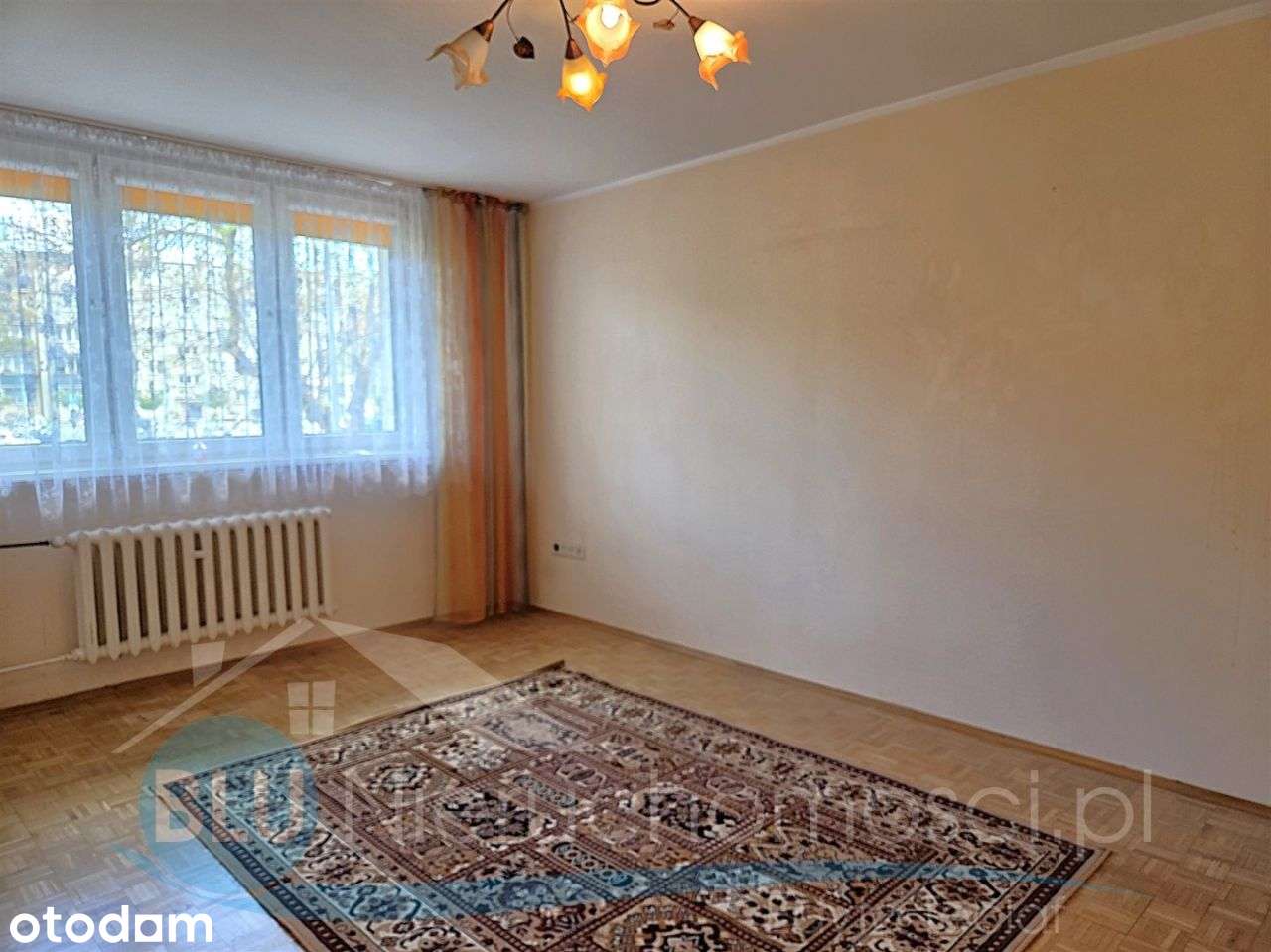 Głogów, oś Hutnik, mieszkanie 3 pok, parter