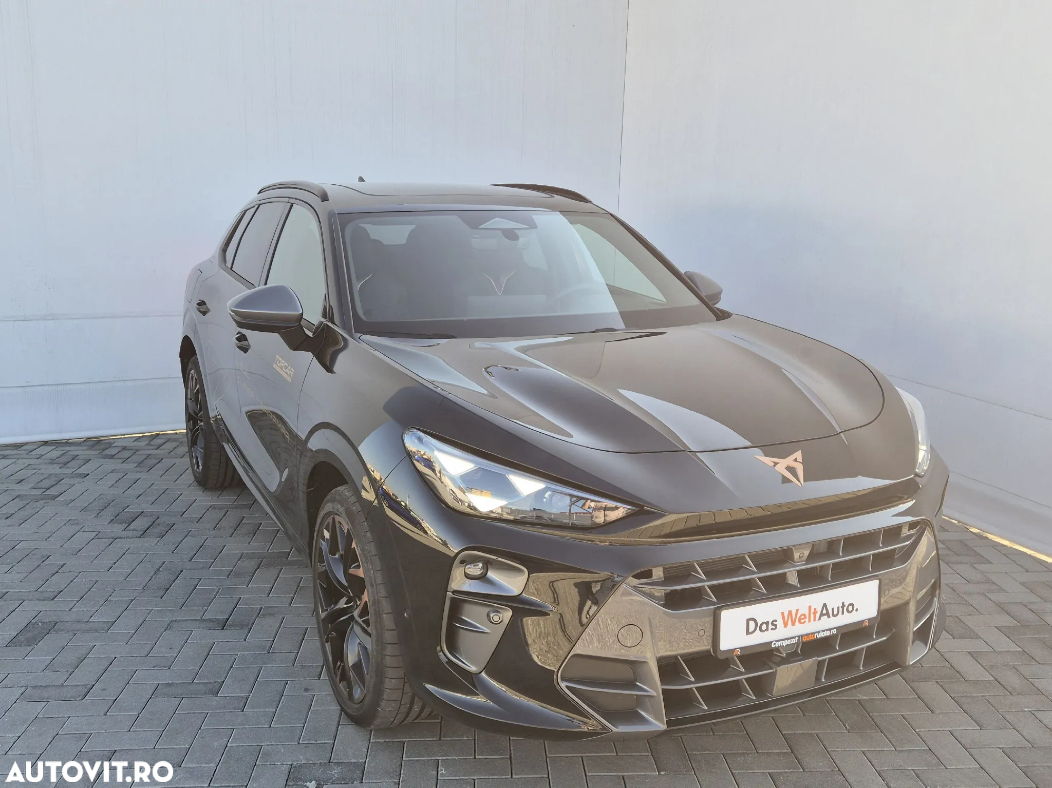Cupra Terramar - 7