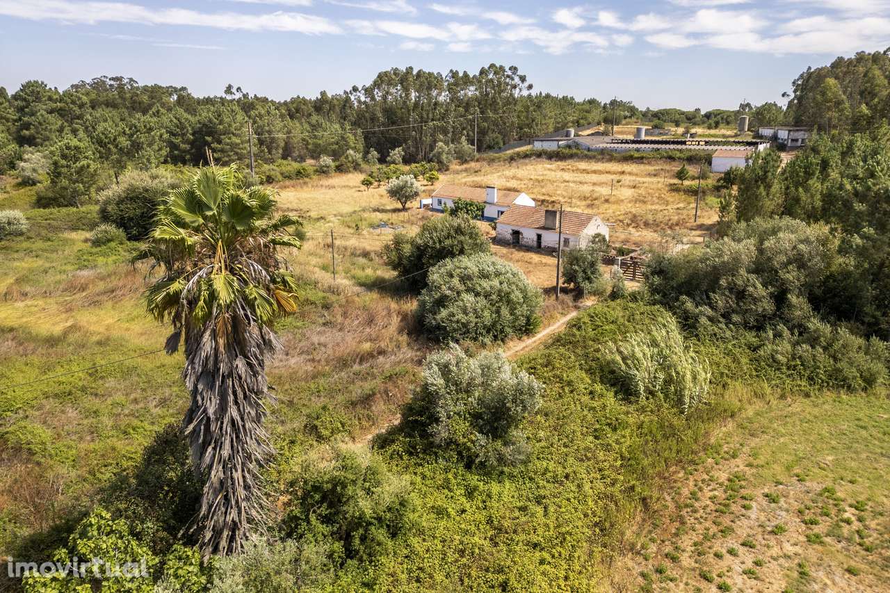 Quinta  5hct Rústica / Urbana com Potencial Único -  Branca - Coruche - Grande imagem: 5/24