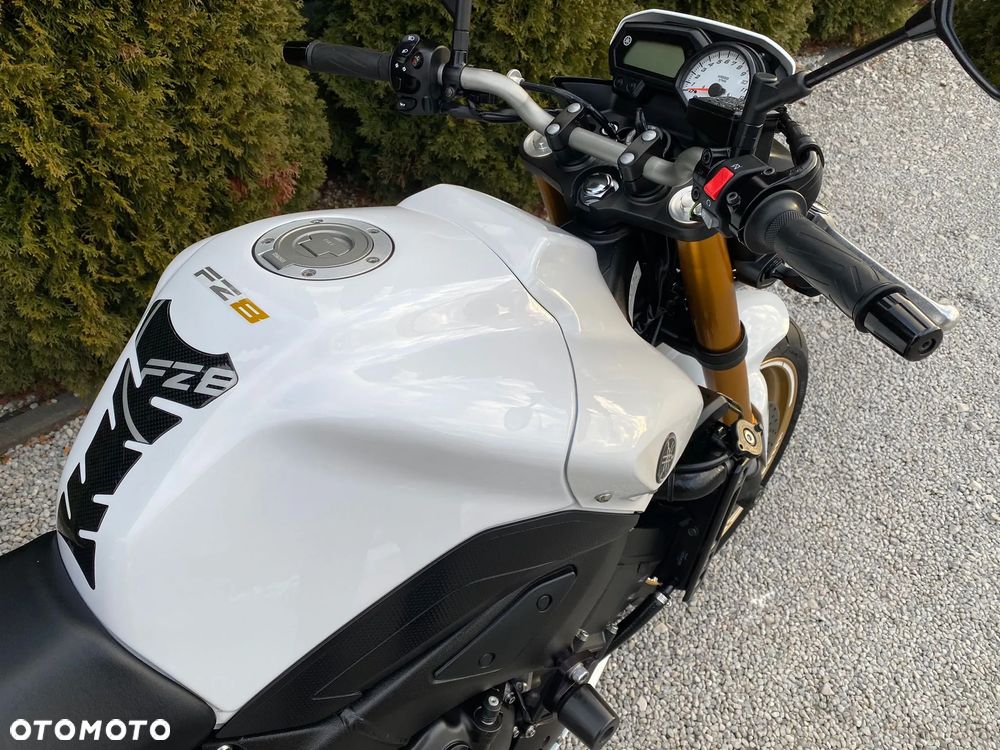 Yamaha FZ8 - 29