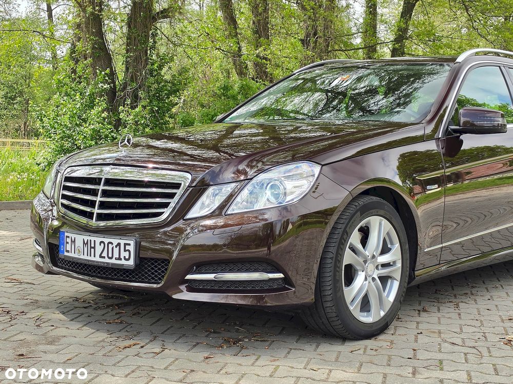 Mercedes-Benz Klasa E 250 CDI DPF BlueEFFICIENCY Avantgarde - 15