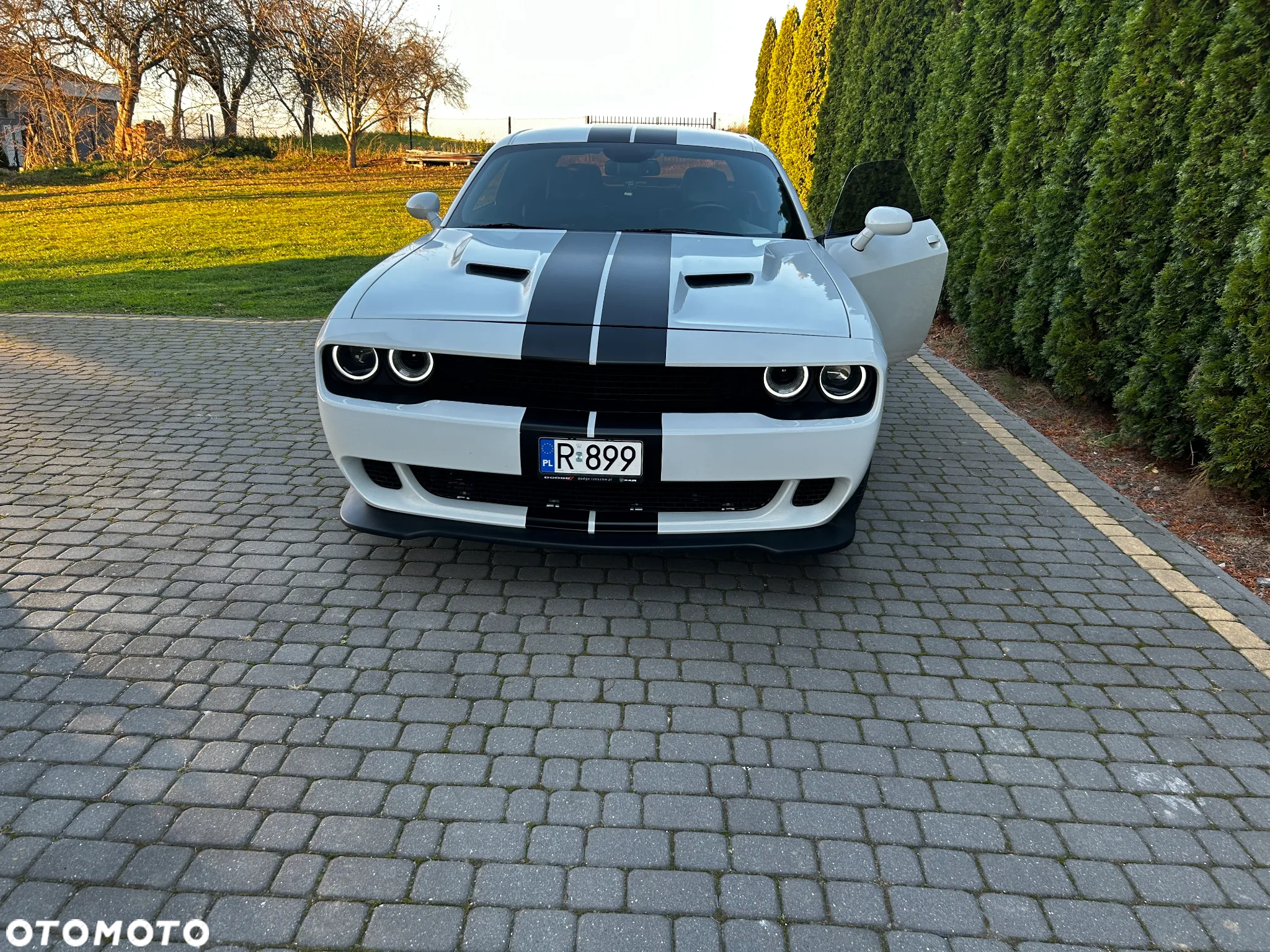 Dodge Challenger Automatik R/T Plus - 14