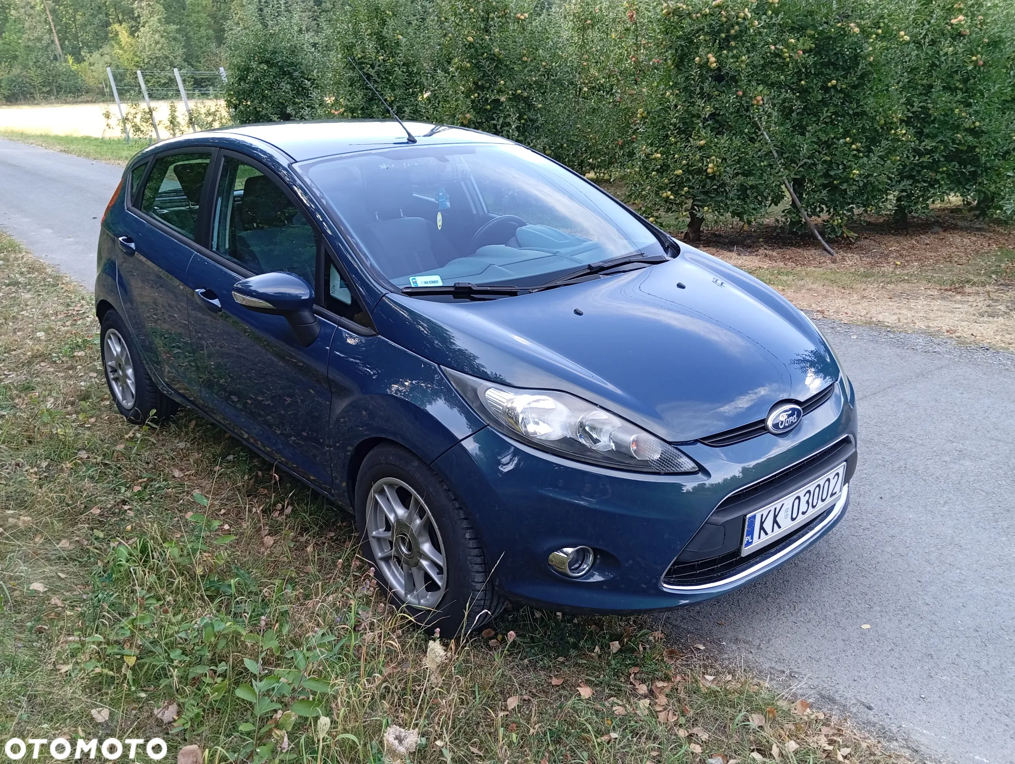Ford Fiesta - 2