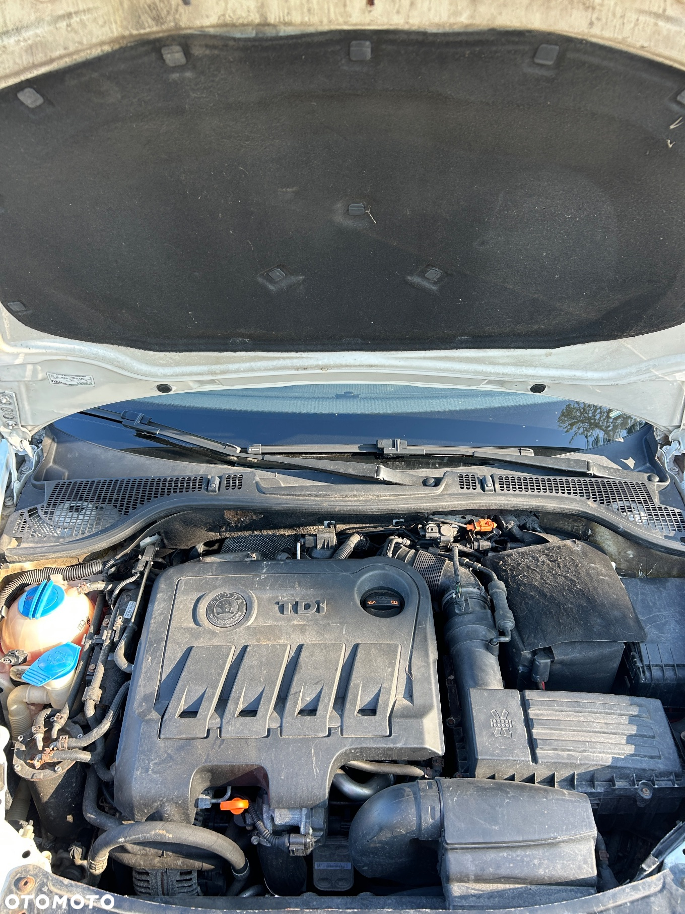 Skoda Octavia Scout 2.0 TDI DPF - 14